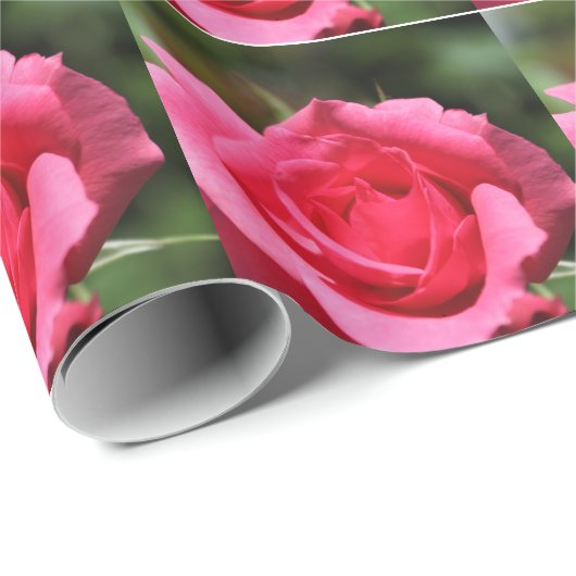 vollkommenes, schönes Foto mit heißen rosa Rose Geschenkpapier (Rolleneckpunkt)