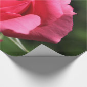vollkommenes, schönes Foto mit heißen rosa Rose Geschenkpapier (Ecke)