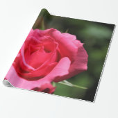 vollkommenes, schönes Foto mit heißen rosa Rose Geschenkpapier (Ungerollt)