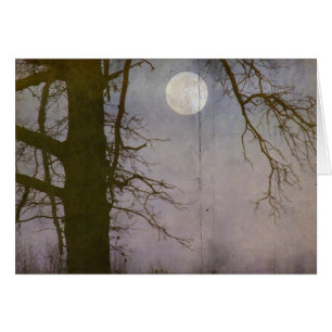 Vollmond