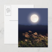Vollmond 2 postkarte (Vorne/Hinten)