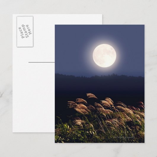 Vollmond 2 postkarte (Vorne/Hinten)