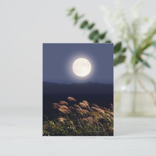 Vollmond 2 postkarte (Stehend Vorderseite)