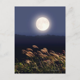 Vollmond 2 postkarte