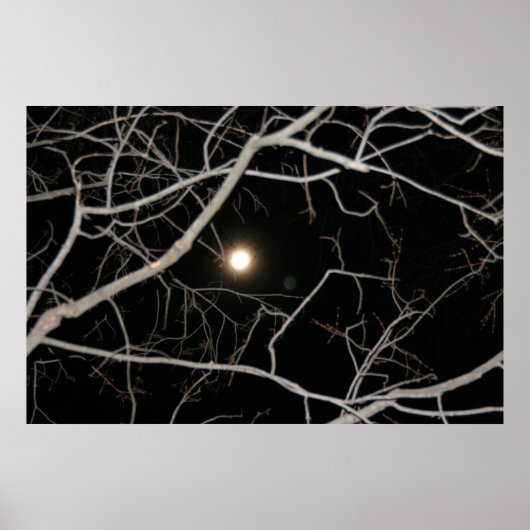 Vollmond auf dem Webposter Poster (Vorne)