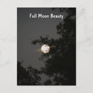 Vollmond Beauty Postkarte
