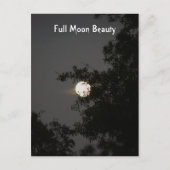 Vollmond Beauty Postkarte (Vorderseite)