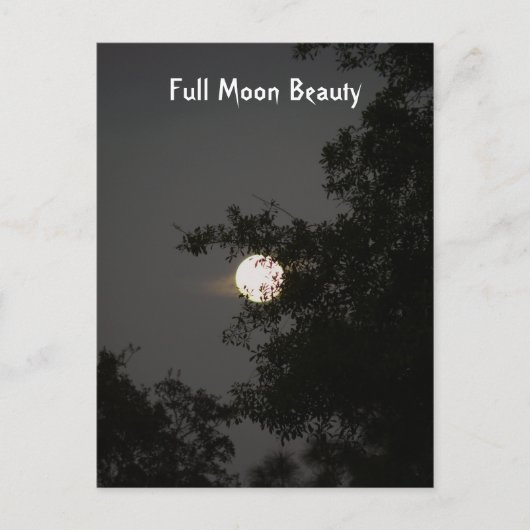 Vollmond Beauty Postkarte (Vorderseite)
