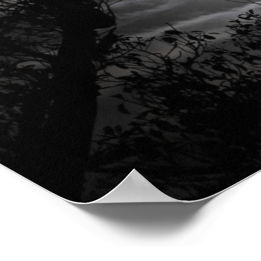 Vollmond durch die Zweige Poster (Ecke)