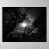 Vollmond durch die Zweige Poster (Vorne)