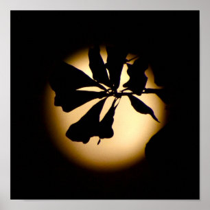 Vollmond-Fotografie-Plakatdruck für die Zeichnung Poster