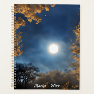 Vollmond Gerahmt von Bäumen Planer