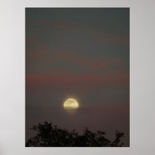 Vollmond-Glühen Poster