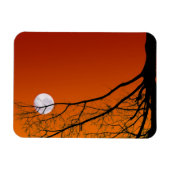 Vollmond Halloween-Magnete Magnet (Horizontal)