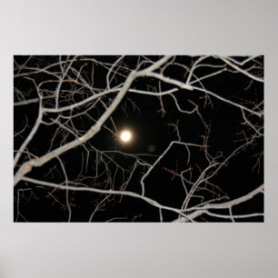 Vollmond im Webposter Poster