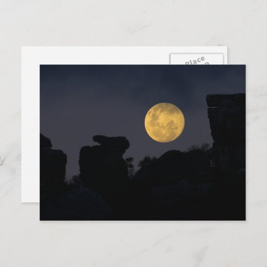 Vollmond in der Wildnis, Südafrika Postkarte (Vorne/Hinten)