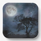 Vollmond in einem Sternenhimmel Pappteller (Vorderseite)