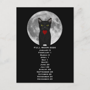 Vollmond-Katze 2026 Postkarte