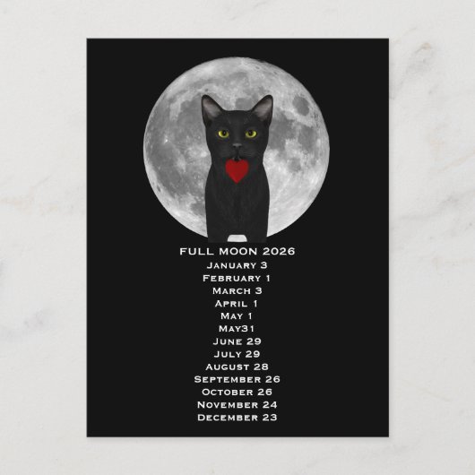 Vollmond-Katze 2026 Postkarte (Vorderseite)