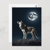 Vollmond leuchtet auf der Wolf-Blank Postkarte (Vorne/Hinten)
