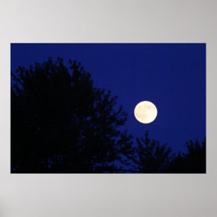 Vollmond mit Bäumen und blauem Himmel Poster