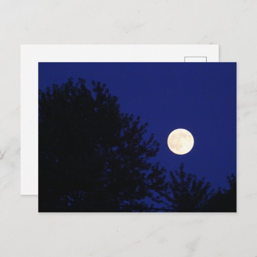 Vollmond mit Bäumen und blauem Himmel Postkarte (Vorne/Hinten)