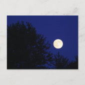 Vollmond mit Bäumen und blauem Himmel Postkarte (Vorderseite)