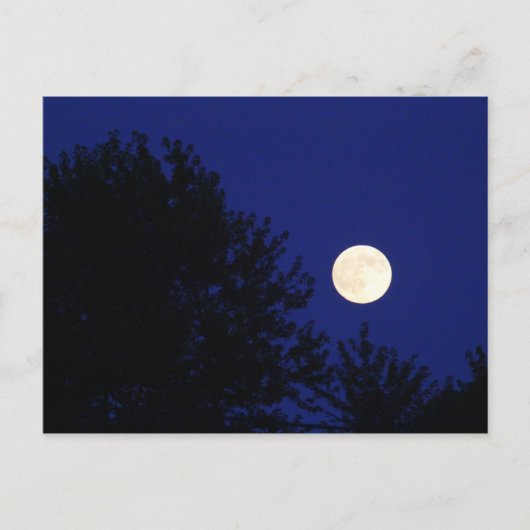 Vollmond mit Bäumen und blauem Himmel Postkarte (Vorderseite)