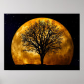Vollmond Mitternachtposter Poster (Vorne)