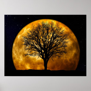 Vollmond Mitternachtposter Poster