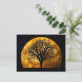 Vollmond Mitternachtspostkarte Postkarte (Stehend Vorderseite)