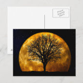Vollmond Mitternachtspostkarte Postkarte (Vorne/Hinten)