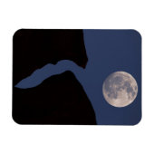 Vollmond | Monumental, Arizona Magnet (Horizontal)