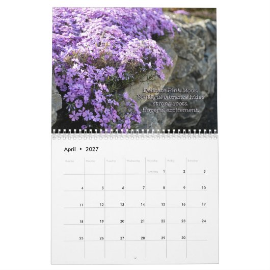 Vollmond nennt Kalender (Apr 2027)