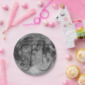 Vollmond-Pi-Tagesspass Pappteller (Party)