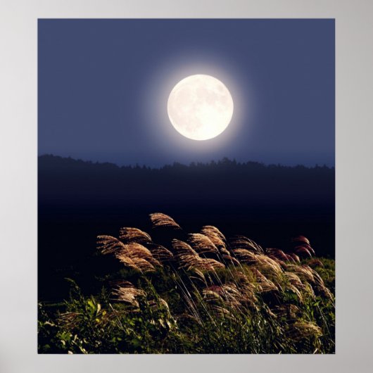 Vollmond Poster (Vorne)