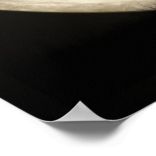 Vollmond Poster (Ecke)