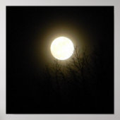Vollmond Poster (Vorne)