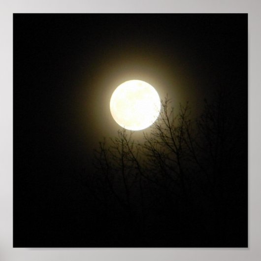 Vollmond Poster (Vorne)