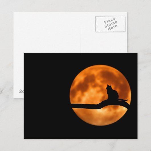 Vollmond Postkarte (Vorne/Hinten)
