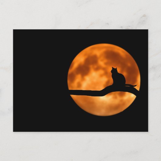 Vollmond Postkarte (Vorderseite)