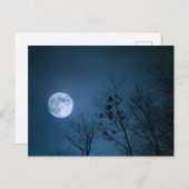 Vollmond Postkarte (Vorne/Hinten)