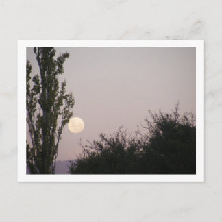 Vollmond Postkarte