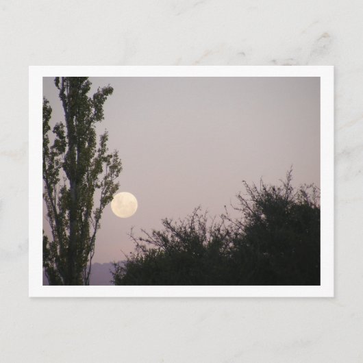 Vollmond Postkarte (Vorderseite)