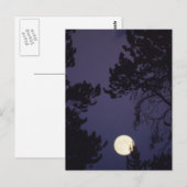 Vollmond Postkarte (Vorne/Hinten)