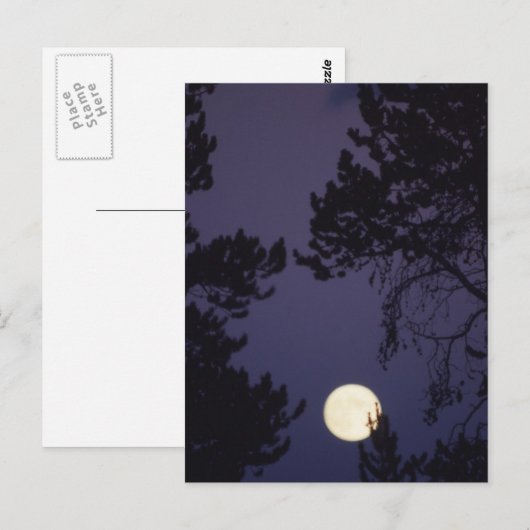Vollmond Postkarte (Vorne/Hinten)