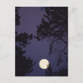 Vollmond Postkarte (Vorderseite)