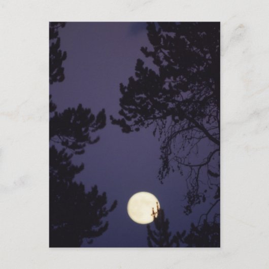 Vollmond Postkarte (Vorderseite)