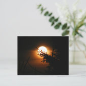Vollmond-Postkarte Postkarte (Stehend Vorderseite)