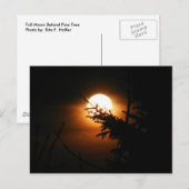 Vollmond-Postkarte Postkarte (Vorne/Hinten)